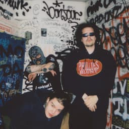 PAISTOPISTE VETERANO album cover