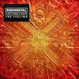 The Feeling album cover