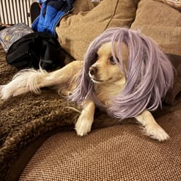 Growing Up Sideways (Instrumental) album cover