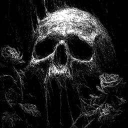 Black Rose album cover