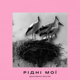 Рідні мої album cover