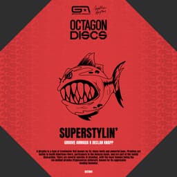 Superstylin' album cover