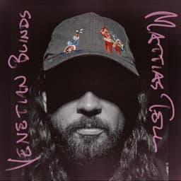 Venetian Blinds album cover